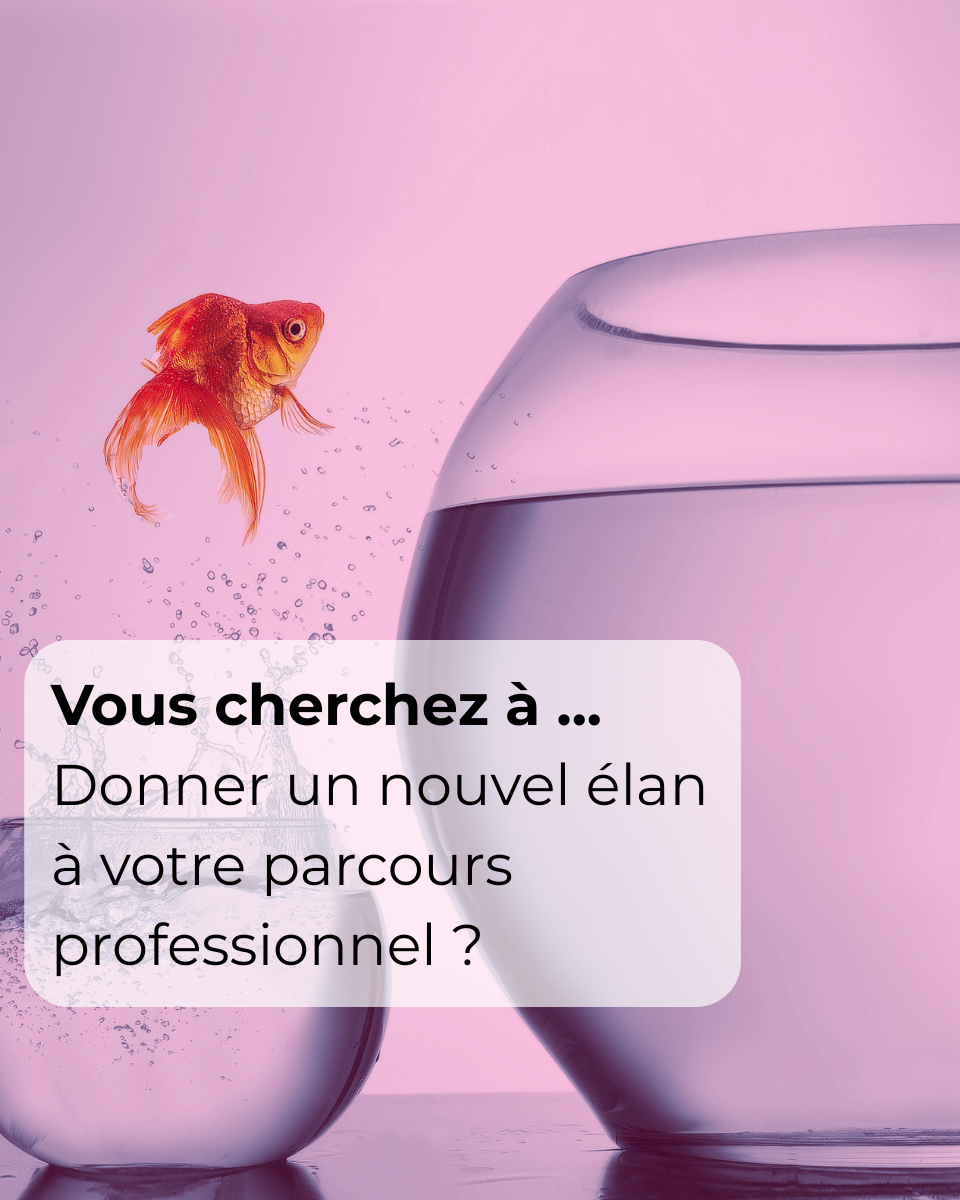 B52, l'agence qui webmarketing qui accompagne les spécialistes de l'aménagement PMR tel que DOMetVIE